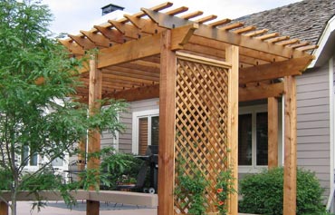 ahap pergole, ahap pergle, ahap kamelya, ahap ardak, ahap glgelik